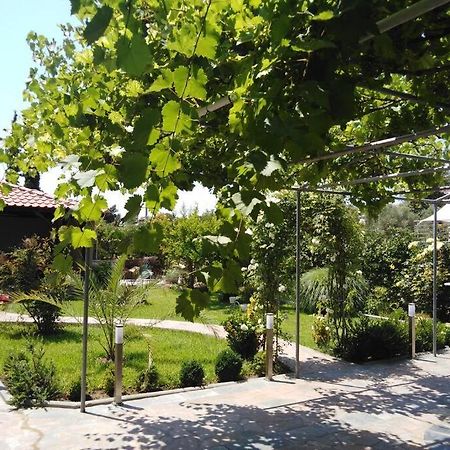 Villa Viktoria Halkidiki Nea Silata Экстерьер фото