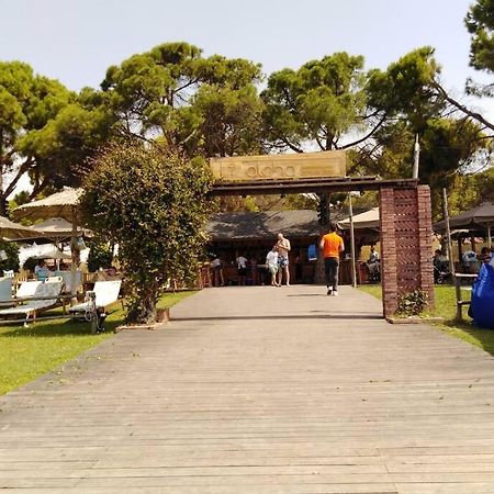 Villa Viktoria Halkidiki Nea Silata Экстерьер фото