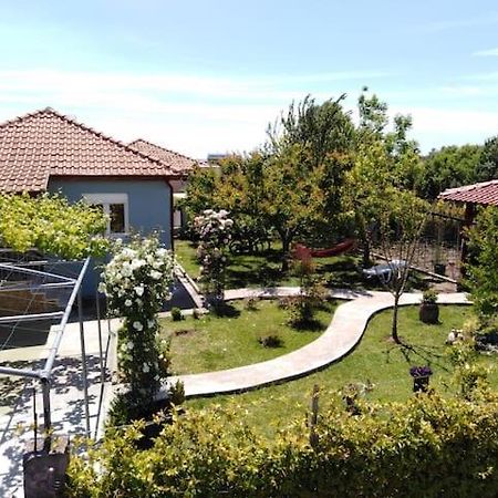 Villa Viktoria Halkidiki Nea Silata Экстерьер фото