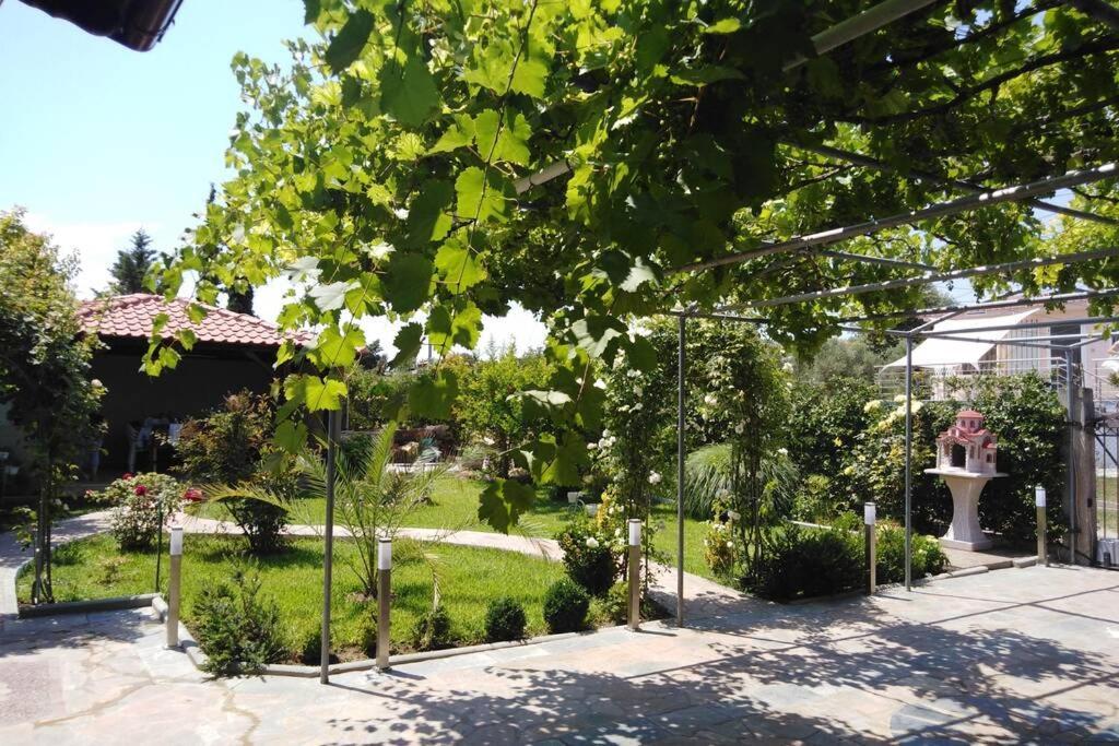 Villa Viktoria Halkidiki Nea Silata Экстерьер фото