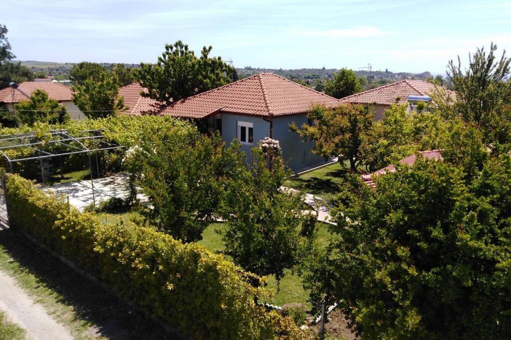 Villa Viktoria Halkidiki Nea Silata Экстерьер фото