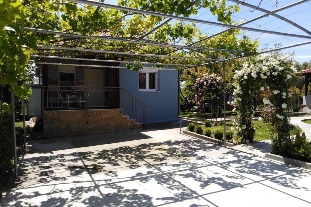 Villa Viktoria Halkidiki Nea Silata Экстерьер фото