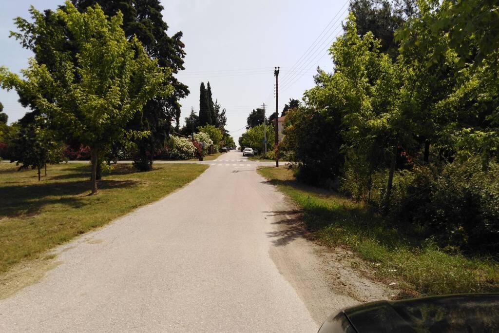 Villa Viktoria Halkidiki Nea Silata Экстерьер фото