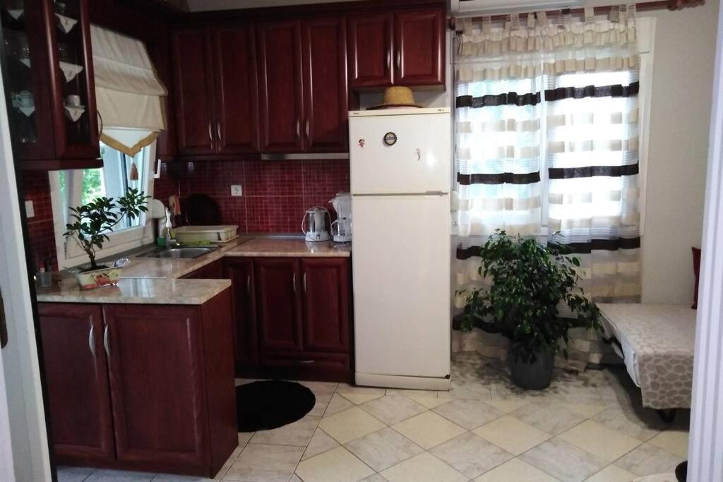 Villa Viktoria Halkidiki Nea Silata Экстерьер фото