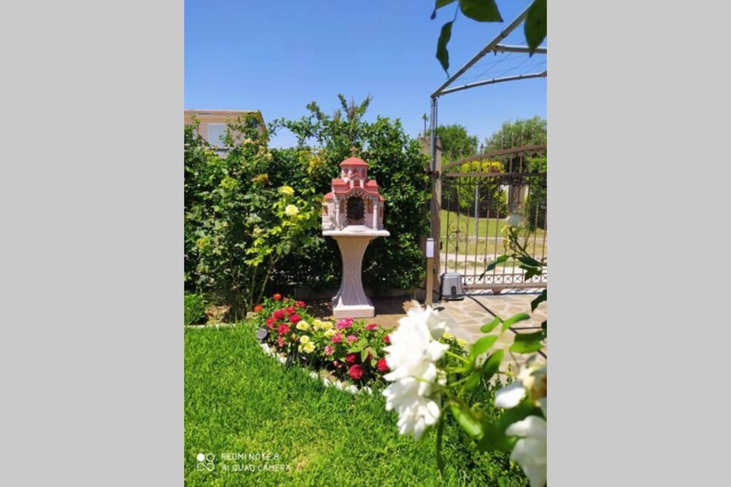 Villa Viktoria Halkidiki Nea Silata Экстерьер фото