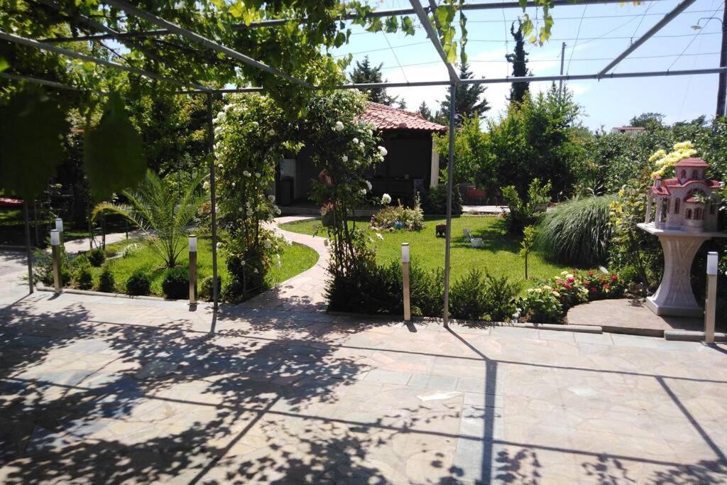 Villa Viktoria Halkidiki Nea Silata Экстерьер фото