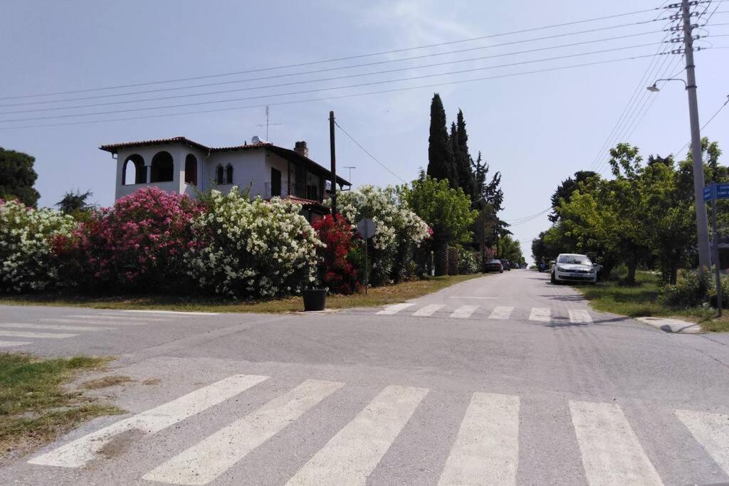 Villa Viktoria Halkidiki Nea Silata Экстерьер фото