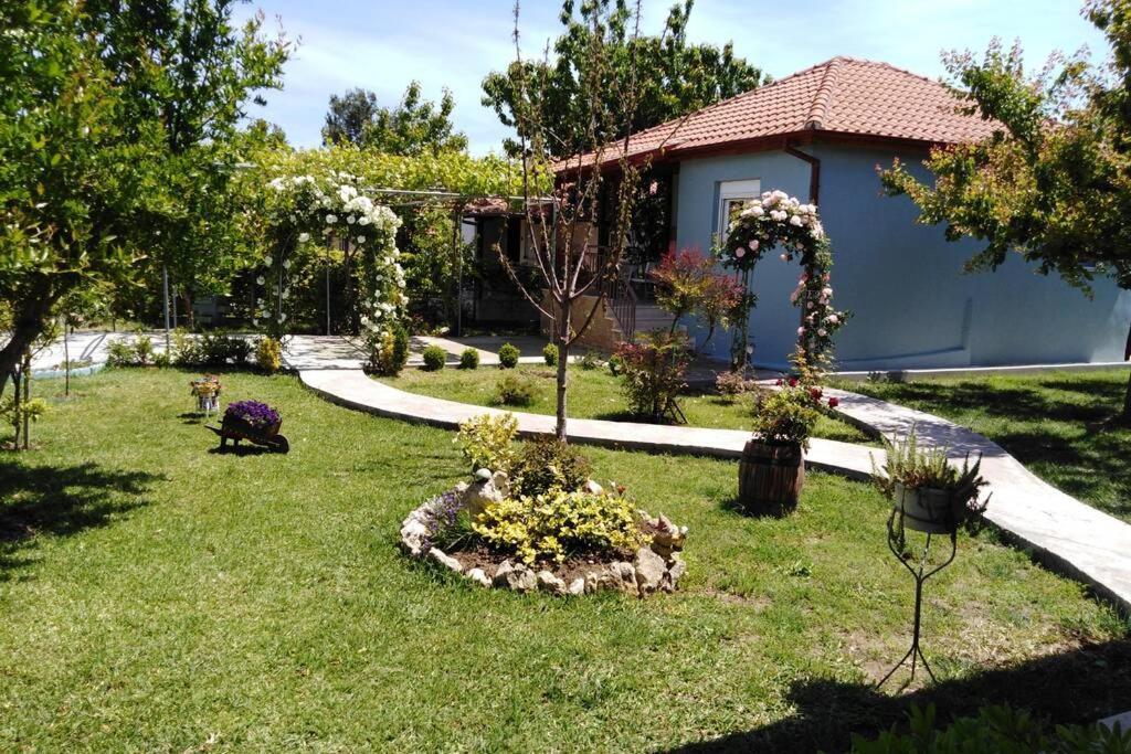 Villa Viktoria Halkidiki Nea Silata Экстерьер фото