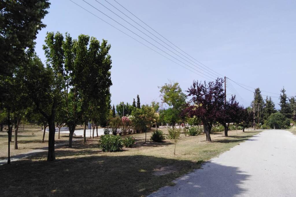 Villa Viktoria Halkidiki Nea Silata Экстерьер фото