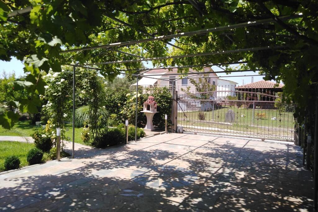 Villa Viktoria Halkidiki Nea Silata Экстерьер фото