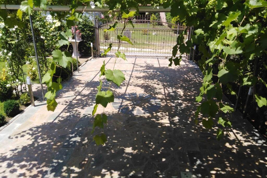 Villa Viktoria Halkidiki Nea Silata Экстерьер фото